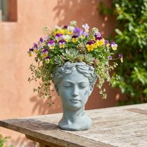 Prodotto Busto di infiorescenza grigio-blu Ø8cm H15cm