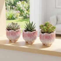 Prodotto Mini vaso in ceramica fioriera assortiti Ø8cm H7cm 3pz