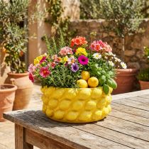 Prodotto Fioriera in ceramica con ciotola di limone gialla Ø26cm H12cm