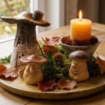Prodotto Set di decorazioni autunnali riccio funghi drago – acquista scatola decorativa a buon mercato