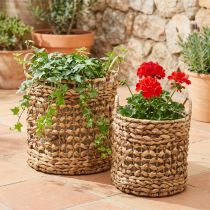 Prodotto Set di 2 cestini per piante in posidonia e giacinto d'acqua Ø31/26cm - cestino decorativo, cestino per fiori, contenitore, ecologico, naturale
