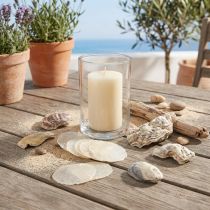 Prodotto Cozze ostriche capiz fette in rete naturale 3,5–9,5 cm 2 pezzi