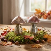Prodotto Funghi decorativi rosa decorazione autunnale in vetro Ø9cm H13,5cm 2 pezzi