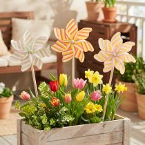 Prodotto Paletto da giardino a forma di mulino a vento, decorazione attraente per patio, giardino e balcone, 47 cm, 3 pezzi