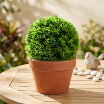 Prodotto Palla d'erba decorativa verde piante artificiali rotonda Ø18 cm 1 pezzo