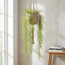 Prodotto Succulenta verde pendente 145cm