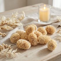 Prodotto Coni Sabulosum sbiancati 500g