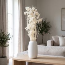 Prodotto Fiori di Nigella secchi, mazzo di elegante decorazione naturale per interni esclusivi, 70 cm, 50 g