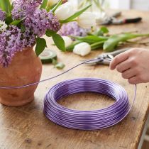 Prodotto Filo di alluminio 2mm 100g lavanda