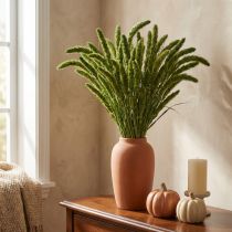 Prodotto Fiori secchi, Setaria Pumila, miglio setoloso verde 75 cm 200 g