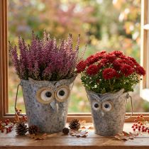 Prodotto Secchio decorativo gufo fioriera in zinco con manico Ø15/19cm set da 2