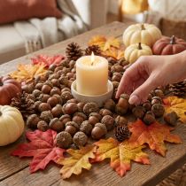 Prodotto Ghiande per decorazione, decorazione autunnale, frutti autunnali naturali Ø1,5 – 2,5 cm L1,5 – 3 cm 300 g