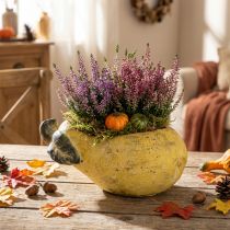 Prodotto Vaso decorativo a forma di pera, ideale per piante autunnali, in cemento, 25×13×11 cm