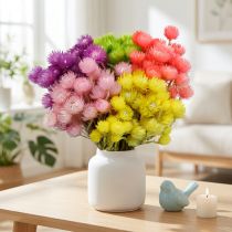 Prodotto Fiori Secchi Deco Cap Fiori Fiori di Paglia Colorati H42cm