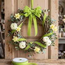 Prodotto Nastro di velluto verde chiaro nastro decorativo velluto verde 10mm 20m