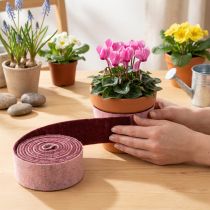 Prodotto Nastro in feltro bicolore, nastro in feltro di lana rosa rosso 7,5 cm 5 m