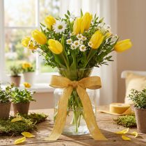 Prodotto Nastro decorativo natura giallo 25mm 20m