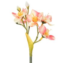 Prodotto Ramo decorativo fiorito di giglio peruviano per composizioni senza tempo, 33 cm, 6 pezzi