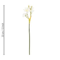 Prodotto Ramo di narciso per composizioni floreali stagionali, bellissimo, 33 cm, 6 pezzi