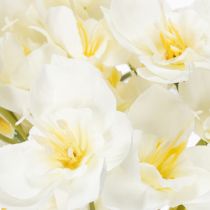 Prodotto Ramo di narciso per composizioni floreali stagionali, bellissimo, 33 cm, 6 pezzi