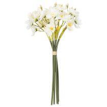 Prodotto Ramo di narciso per composizioni floreali stagionali, bellissimo, 33 cm, 6 pezzi