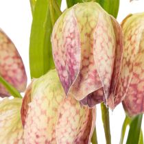 Prodotto Fiore di fritillaria artificiale, delicata decorazione per spazi abitativi, 60 cm, 3 pezzi