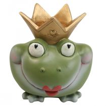 Frog King Deco Vaso Decorazione da giardino Vaso rana 21 × 17,5 × 23 cm