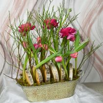 Prodotto Vaso da fiori con decorazione primaverile Vaso per piante ovale in metallo con manici vintage 28×15cm