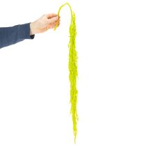 Prodotto Fiori secchi tinti Amaranto per decorazioni di casa e accenti unici 100 cm, 5 pezzi