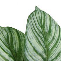 Prodotto Cesto Artificiale Calathea Marante Piante Artificiali Verde 51cm