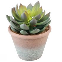 Prodotto Pianta grassa in vaso Echeveria artificiale verde vintage Ø15cm H16cm