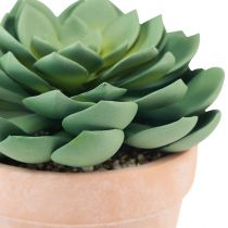 Prodotto Pianta grassa in vaso Echeveria artificiale verde Ø15cm