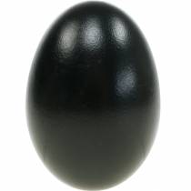 Prodotto Uova d'oca Uova nere soffiate Decorazione pasquale 10 pezzi