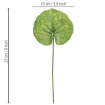 Prodotto Galax Urceolata Foglie Artificiali Verdi Ø10cm L23cm 12 pz