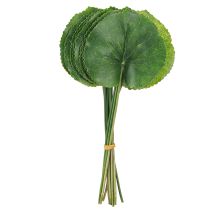 Prodotto Galax Urceolata Foglie Artificiali Verdi Ø10cm L23cm 12 pz