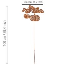 Prodotto Paletto da giardino con motivo a zucca, decorazione in metallo, finitura ruggine, 100 cm