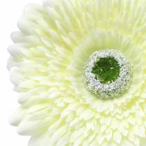 Prodotto Gerbera artificiale bianca 62 cm 6 pz