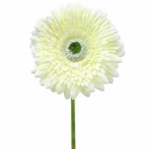 Prodotto Gerbera artificiale bianca 62 cm 6 pezzi