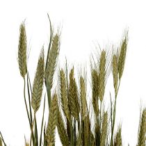 Prodotto Decorazione di chicchi d&#39;orzo decorazione secca naturale 80cm mazzo 1 pezzo