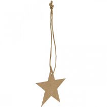 Etichette regalo Carta stella marrone natalizia Ø5,5cm 100p