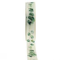 Prodotto Nastro regalo nastro decorativo di eucalipto verde 25 mm 20 m