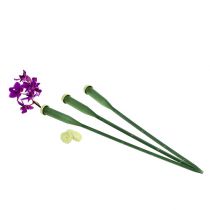 Prodotto Tubi di disposizione 30 cm x 1,5 cm 100 pezzi