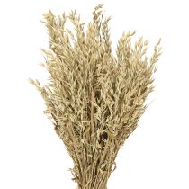 Prodotto Avena secca decorativa mazzo di avena naturale decorazione mazzo 60cm 200g