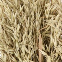 Prodotto Avena secca decorativa mazzo di avena naturale decorazione mazzo 60cm 200g