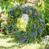 Prodotto Fiori secchi decorativi di lavanda essiccata 25 cm 350 g 5 pezzi