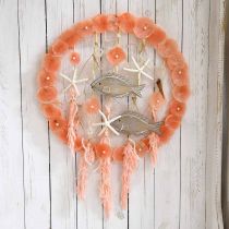 Prodotto Erba di pampa essiccata rosa fiori secchi decorazione naturale 65-75 cm 6 pz