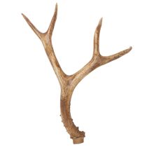 Prodotto Corna artificiali, realistiche, rustiche, 32 cm