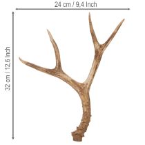 Prodotto Corna artificiali, realistiche, rustiche, 32 cm