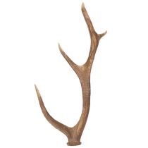 Prodotto Corna artificiali decorative, decorazione rustica per baita, 50 cm