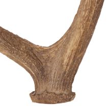 Prodotto Corna artificiali decorative, decorazione rustica per baita, 50 cm